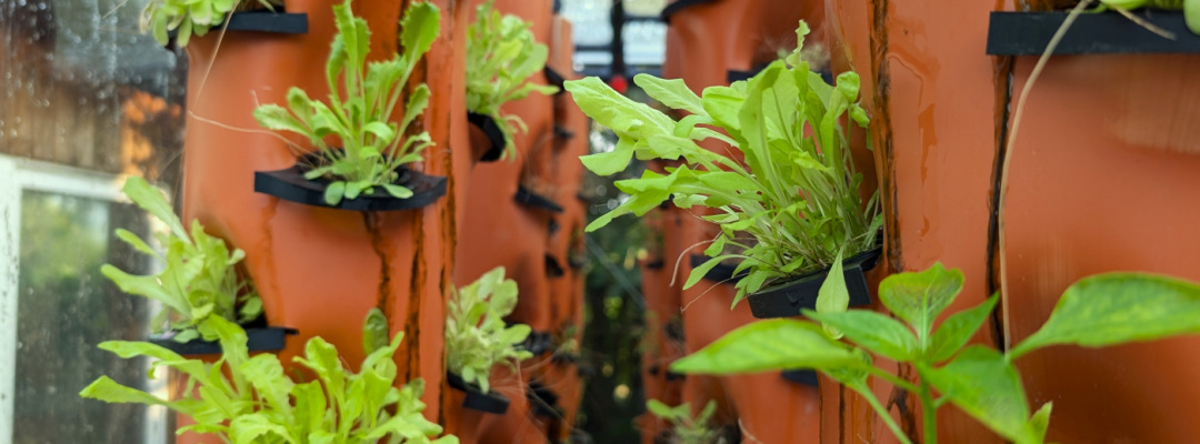 Home | Cube-Farm, Monschau