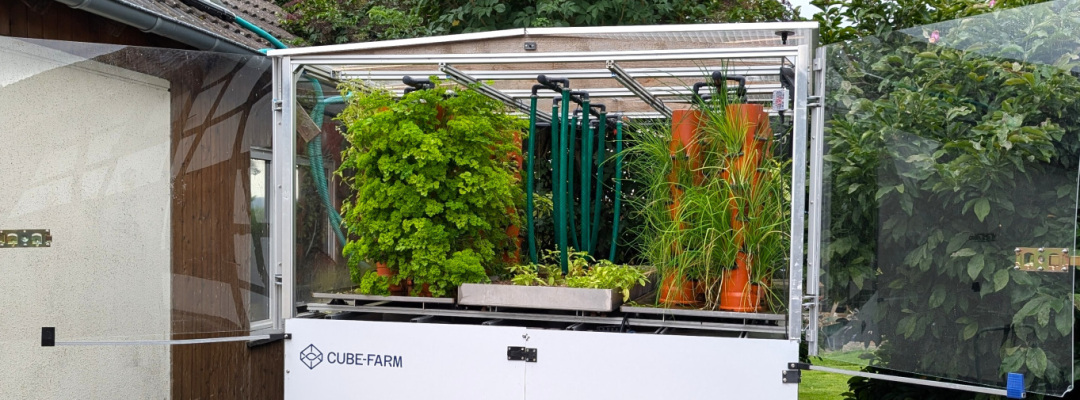 Home | Cube-Farm, Monschau